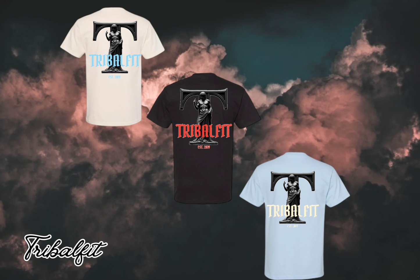TFA Wafare graphic tee