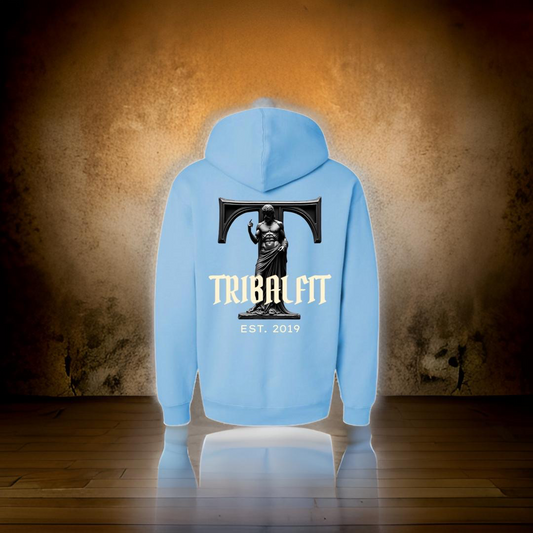 TFA Warfare hoodie- Sky Blue